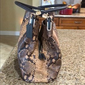 Coach Snake Pattern Brand New